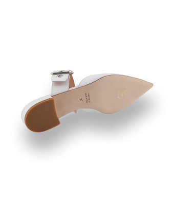 Guglielmo Rotta Mule