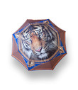 Morellini Stockschirm Tiger